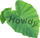 Click To Say Howdy